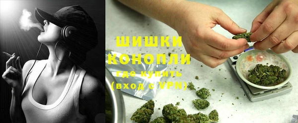 ПСИЛОЦИБИНОВЫЕ ГРИБЫ Богородск