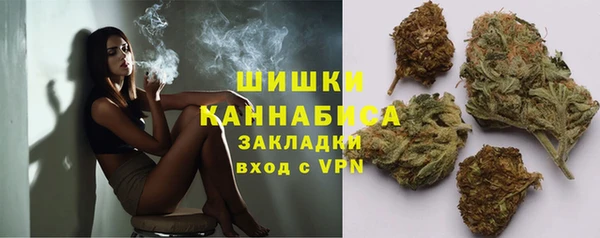 ПСИЛОЦИБИНОВЫЕ ГРИБЫ Богородск