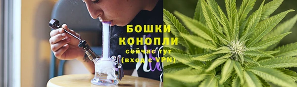 ПСИЛОЦИБИНОВЫЕ ГРИБЫ Богородск