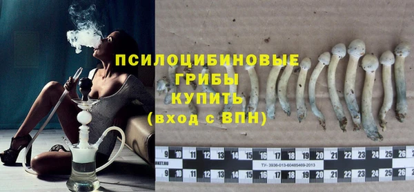 ПСИЛОЦИБИНОВЫЕ ГРИБЫ Богородск